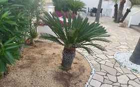 Bed And Breakfast Kale '